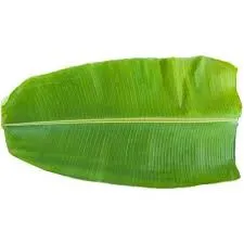 Banana leaves 1pk