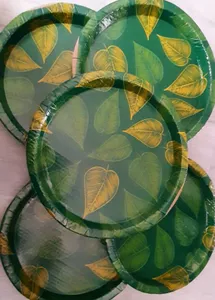 Disposable Plates - 1 plate