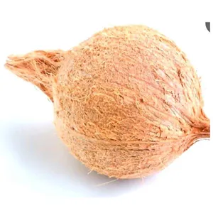 Coconuts 1pc