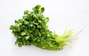 Coriander Bunch Per bunch
