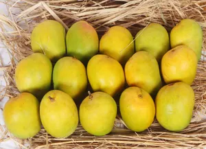 Alphonso Mangoes - 1 Box (Gross Weight: 3 kg (including box))