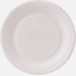 Paper plates - 100 pack