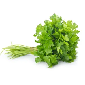Coriander Leaves  1 - Bunch