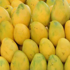 Banginapalli (Badami) -- 1 Box (Gross Weight: 3 kg (including box))