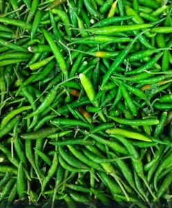 Green chillies 100gr